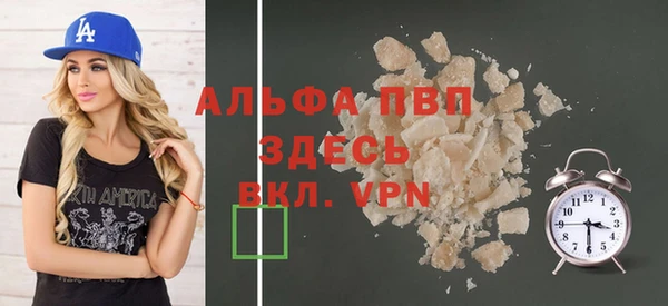 индика Магас