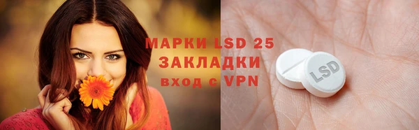 гидра Медвежьегорск