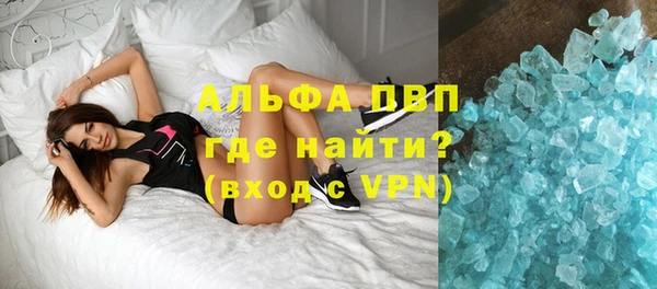 индика Магас