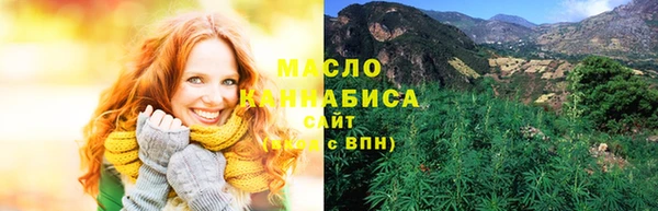 индика Магас