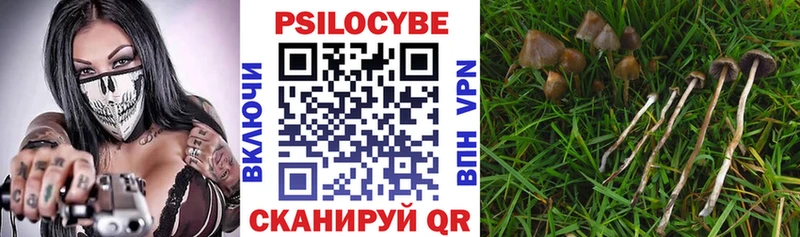 OMG ТОР  как найти наркотики  Мураши  Псилоцибиновые грибы мицелий 