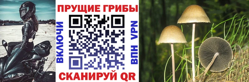Галлюциногенные грибы мицелий Мураши
